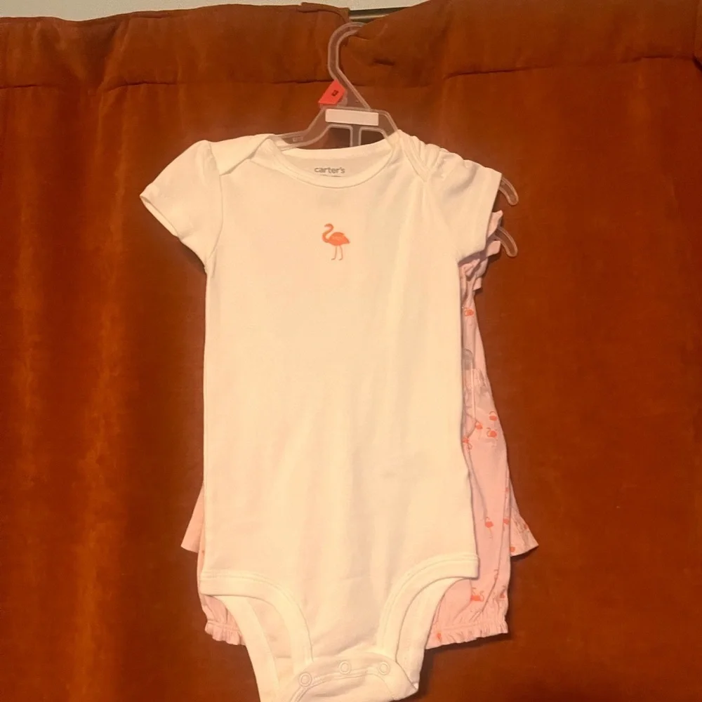Carter's Pink and White Flamingo Outfit